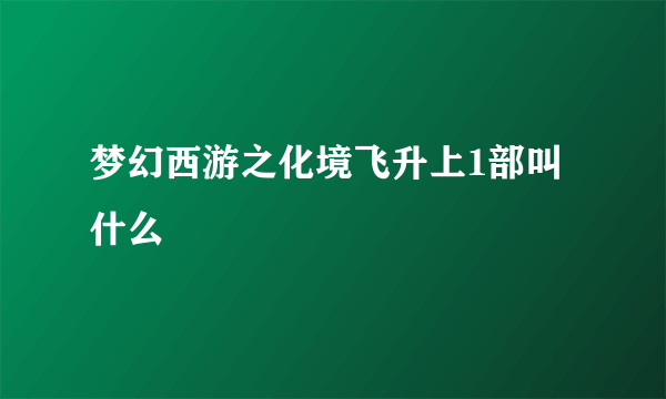 梦幻西游之化境飞升上1部叫什么