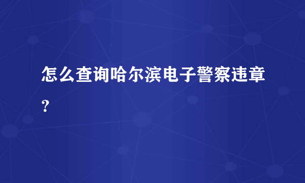 怎么查询哈尔滨电子警察违章？