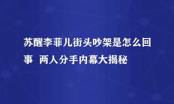 苏醒李菲儿街头吵架是怎么回事  两人分手内幕大揭秘