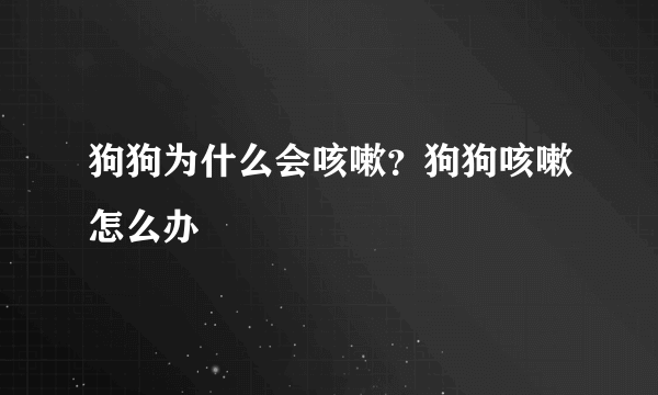 狗狗为什么会咳嗽？狗狗咳嗽怎么办