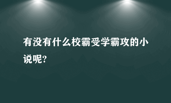 有没有什么校霸受学霸攻的小说呢?