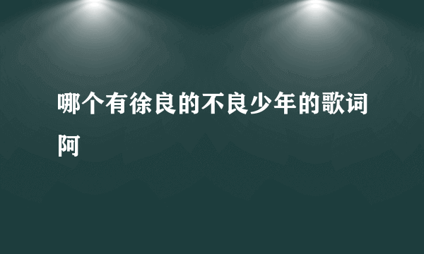 哪个有徐良的不良少年的歌词阿