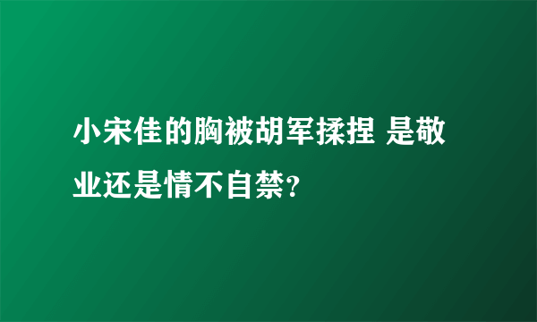 小宋佳的胸被胡军揉捏 是敬业还是情不自禁？