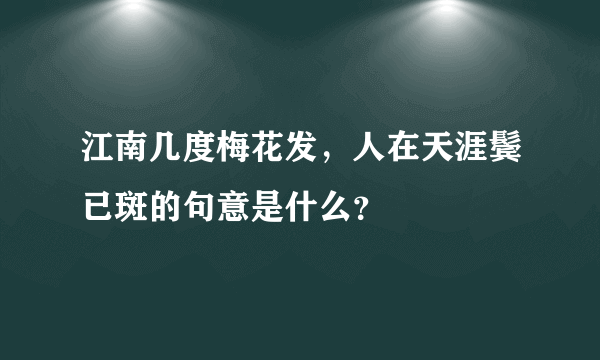 江南几度梅花发，人在天涯鬓已斑的句意是什么？