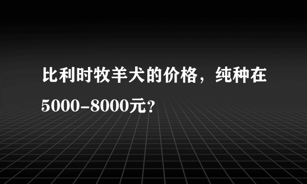 比利时牧羊犬的价格，纯种在5000-8000元？