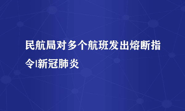 民航局对多个航班发出熔断指令|新冠肺炎