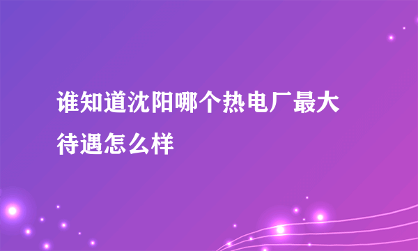 谁知道沈阳哪个热电厂最大 待遇怎么样