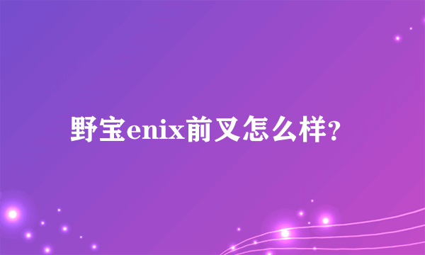 野宝enix前叉怎么样？