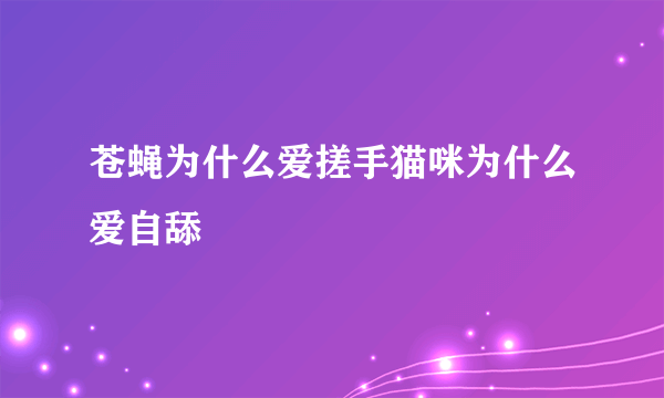 苍蝇为什么爱搓手猫咪为什么爱自舔