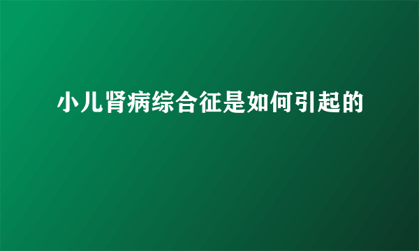 小儿肾病综合征是如何引起的