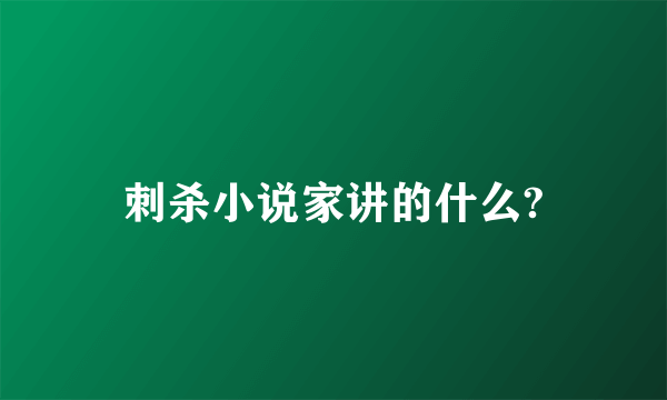 刺杀小说家讲的什么?