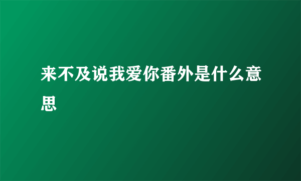 来不及说我爱你番外是什么意思