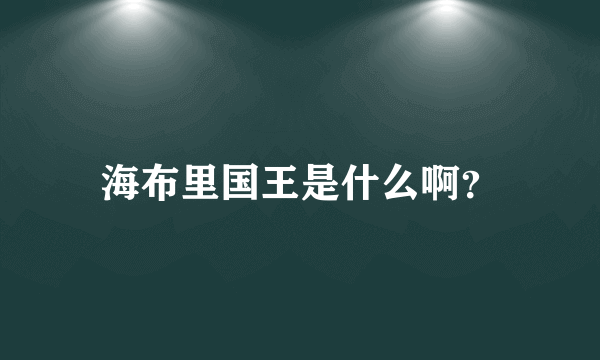 海布里国王是什么啊？