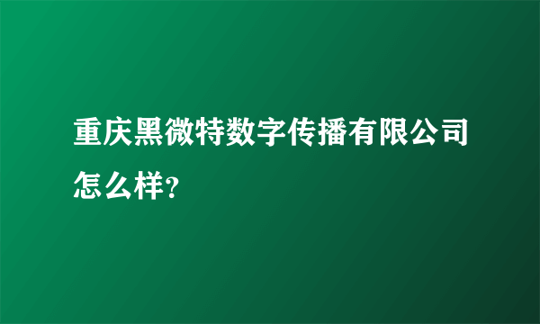 重庆黑微特数字传播有限公司怎么样？