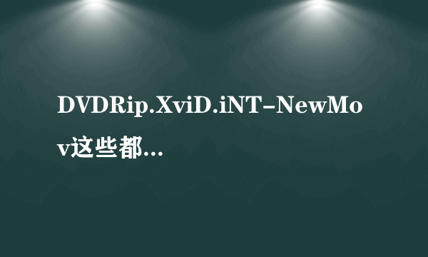 DVDRip.XviD.iNT-NewMov这些都是什么意思啊？