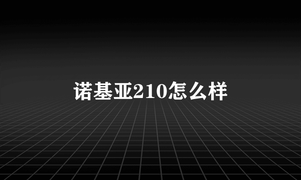 诺基亚210怎么样