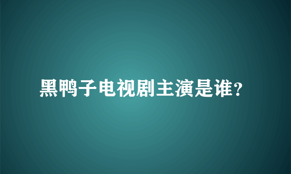 黑鸭子电视剧主演是谁？