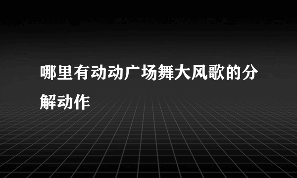 哪里有动动广场舞大风歌的分解动作