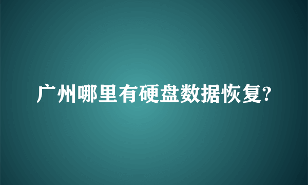 广州哪里有硬盘数据恢复?