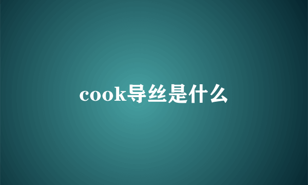 cook导丝是什么