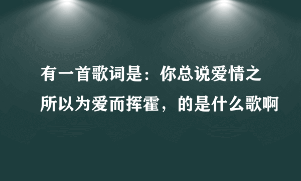 有一首歌词是：你总说爱情之所以为爱而挥霍，的是什么歌啊