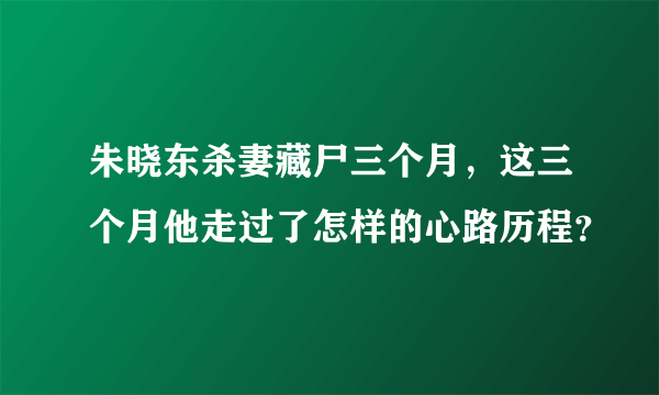 朱晓东杀妻藏尸三个月，这三个月他走过了怎样的心路历程？