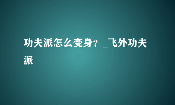 功夫派怎么变身？_飞外功夫派