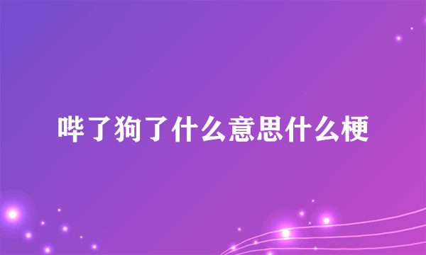 哔了狗了什么意思什么梗