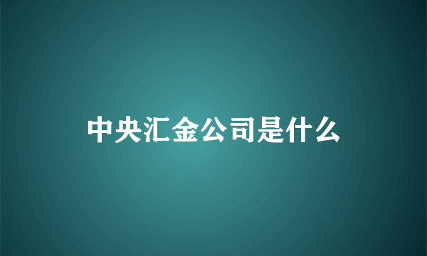 中央汇金公司是什么