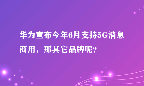 华为宣布今年6月支持5G消息商用，那其它品牌呢？