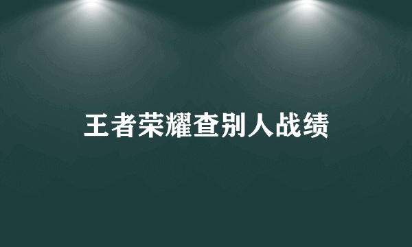 王者荣耀查别人战绩