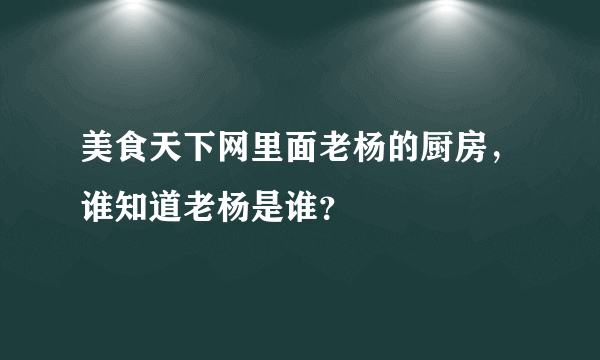 美食天下网里面老杨的厨房，谁知道老杨是谁？