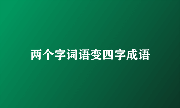 两个字词语变四字成语