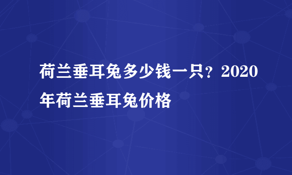 荷兰垂耳兔多少钱一只？2020年荷兰垂耳兔价格