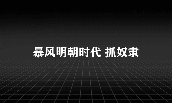 暴风明朝时代 抓奴隶