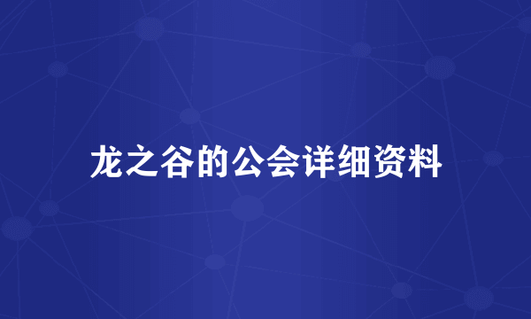 龙之谷的公会详细资料