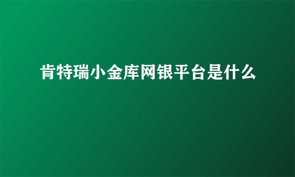 肯特瑞小金库网银平台是什么