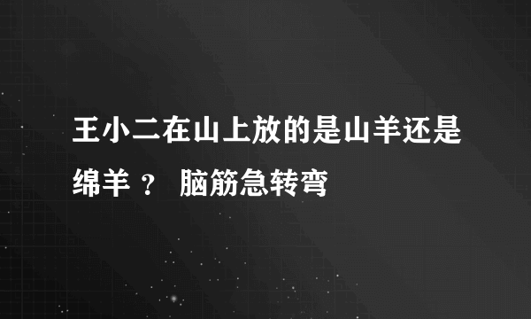 王小二在山上放的是山羊还是绵羊 ？ 脑筋急转弯