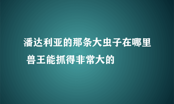 潘达利亚的那条大虫子在哪里 兽王能抓得非常大的