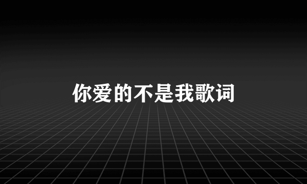 你爱的不是我歌词