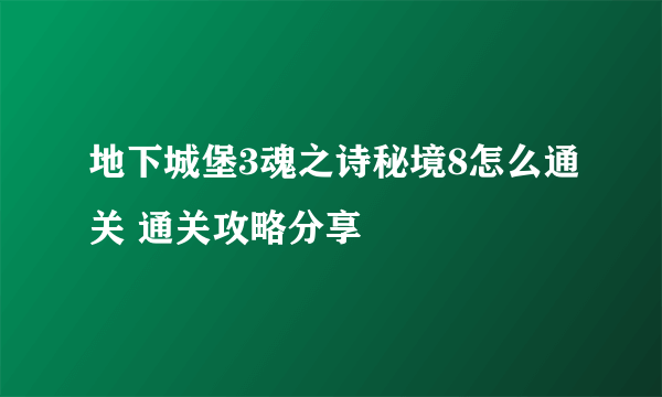 地下城堡3魂之诗秘境8怎么通关 通关攻略分享