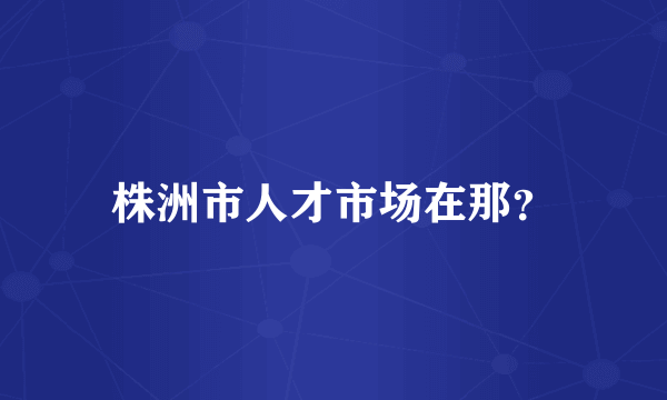 株洲市人才市场在那？