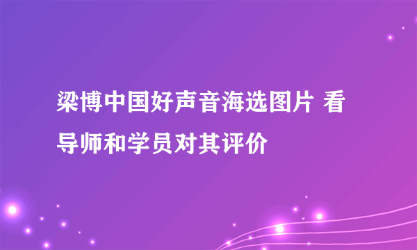 梁博中国好声音海选图片 看导师和学员对其评价