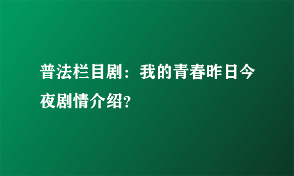 普法栏目剧：我的青春昨日今夜剧情介绍？