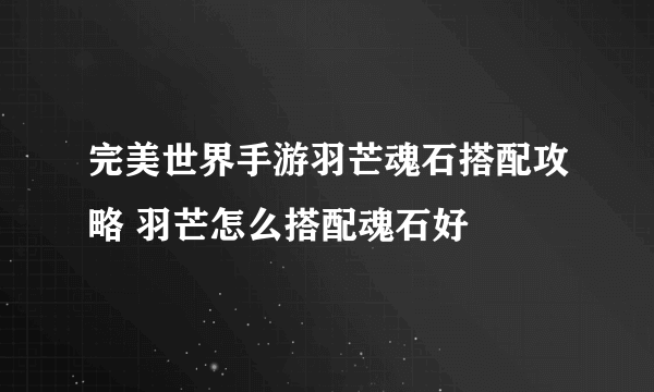 完美世界手游羽芒魂石搭配攻略 羽芒怎么搭配魂石好