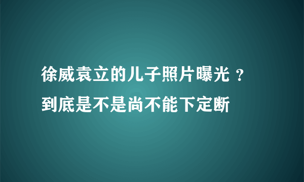 徐威袁立的儿子照片曝光 ？ 到底是不是尚不能下定断