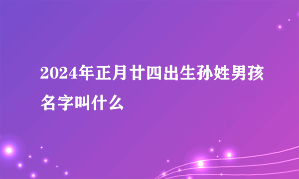 2024年正月廿四出生孙姓男孩名字叫什么