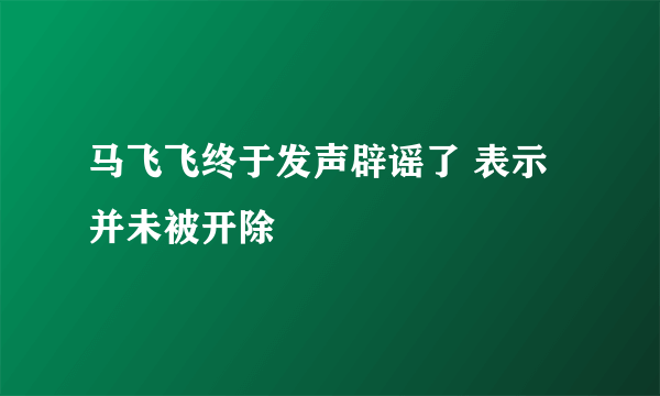 马飞飞终于发声辟谣了 表示并未被开除