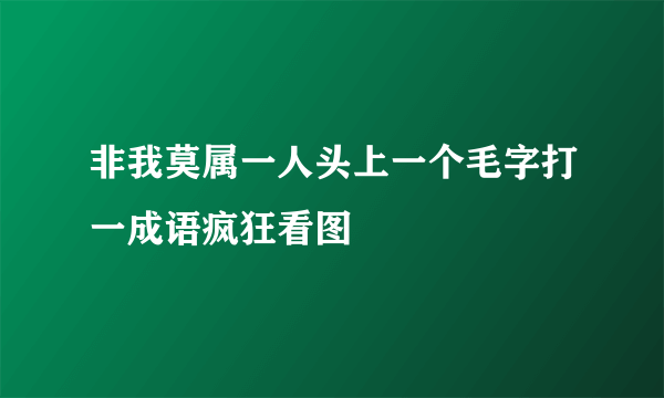 非我莫属一人头上一个毛字打一成语疯狂看图