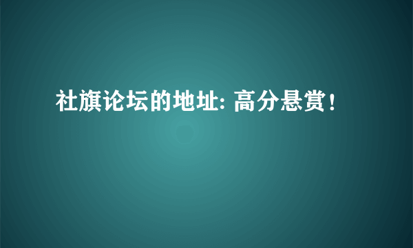 社旗论坛的地址: 高分悬赏！